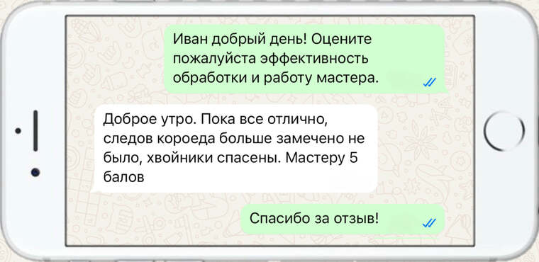 оказываем лечение деревьев от любых болезней - фото №2