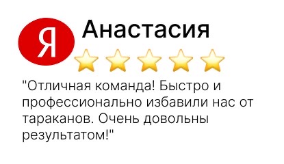 дезинфекция земельных участков и жилых помещений - фото №17